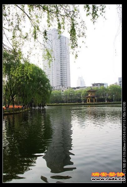 nEO_IMG_IMG_2982.jpg
