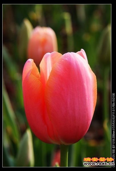 nEO_IMG_IMG_2992.jpg