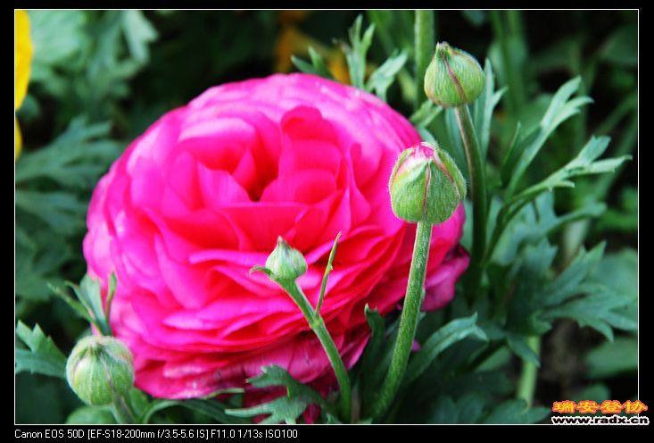 nEO_IMG_IMG_3049.jpg