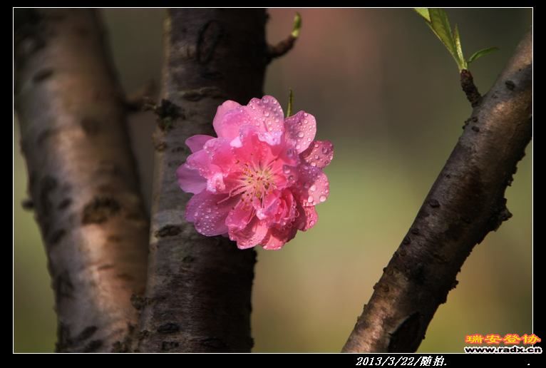nEO_IMG_IMG_0268.jpg