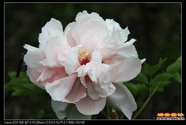 nEO_IMG_IMG_3216.jpg