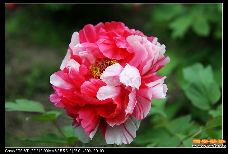 nEO_IMG_IMG_3218.jpg