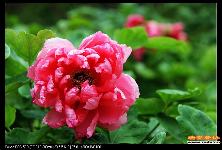 nEO_IMG_IMG_3232.jpg