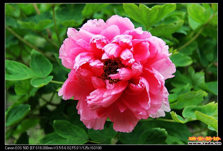 nEO_IMG_IMG_3244.jpg