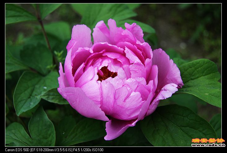 nEO_IMG_IMG_3273.jpg