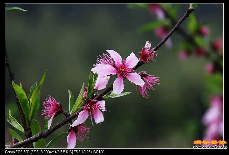 nEO_IMG_IMG_3400.jpg