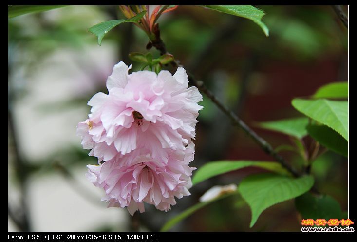 nEO_IMG_IMG_3480.jpg