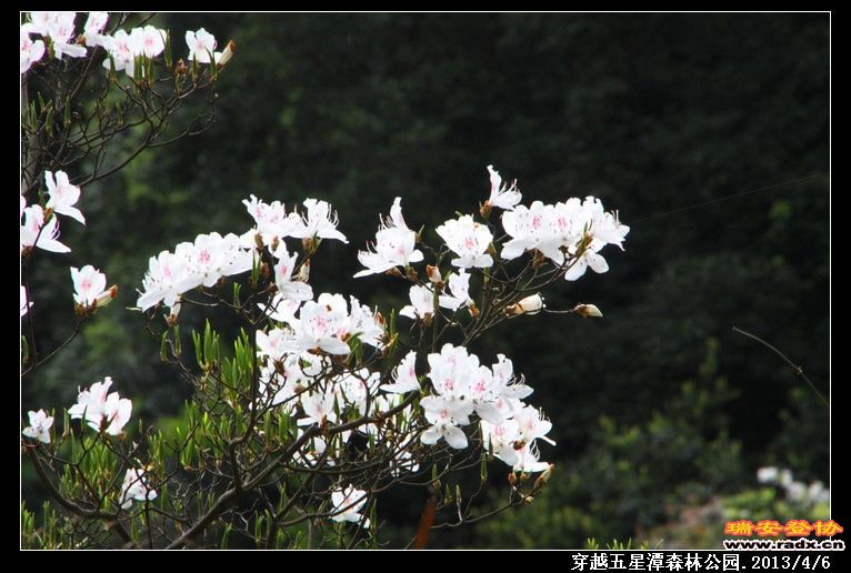 nEO_IMG_IMG_0089.jpg