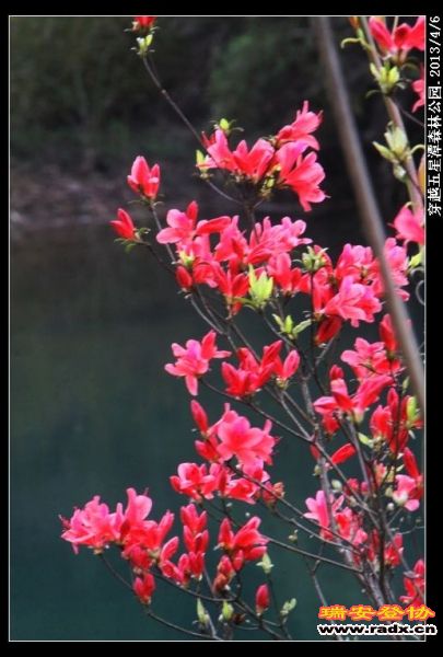 nEO_IMG_IMG_0093.jpg
