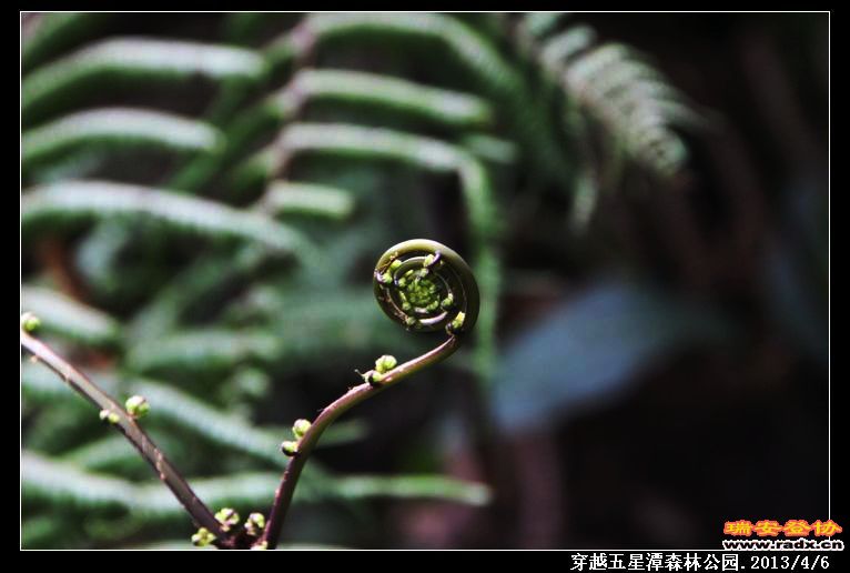 nEO_IMG_IMG_0132.jpg