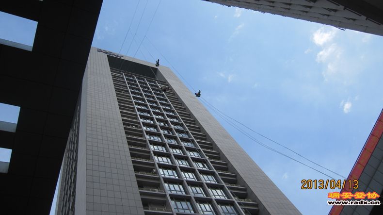 IMG_2941.jpg