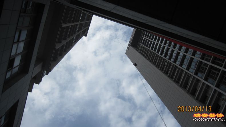 IMG_2959.jpg