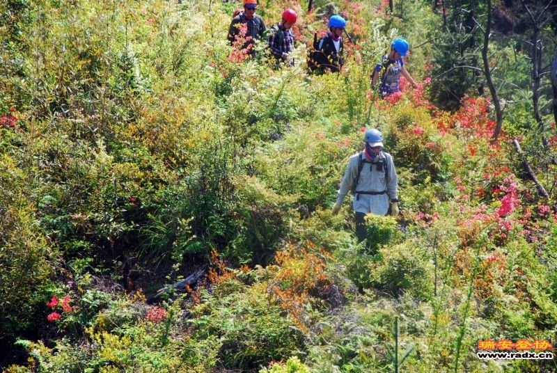 DSC_0087.jpg