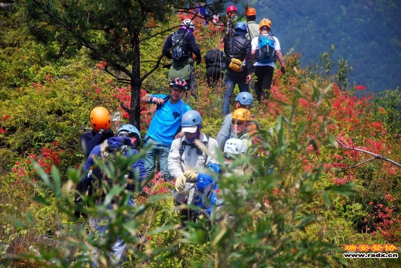DSC_0162.jpg