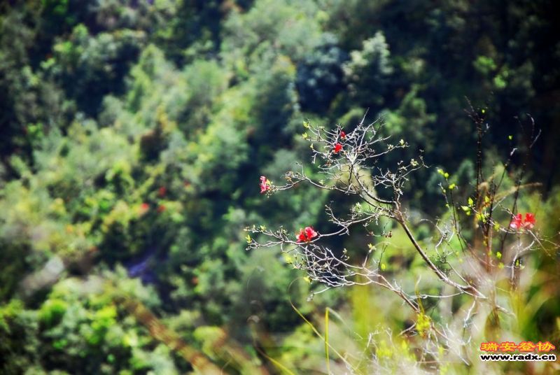 DSC_0472.jpg