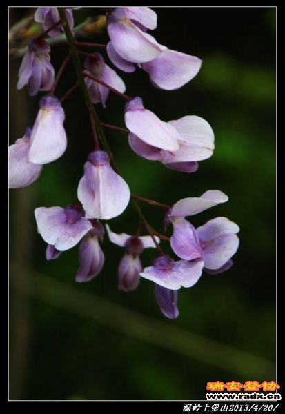 nEO_IMG_IMG_0192.jpg