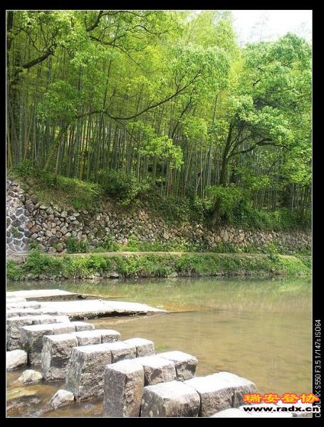 nEO_IMG_DSCN3644.jpg