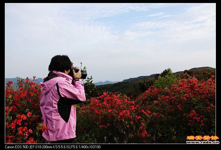 nEO_IMG_IMG_3952.jpg