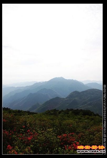 nEO_IMG_IMG_3966.jpg
