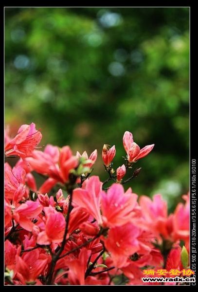nEO_IMG_IMG_3969.jpg