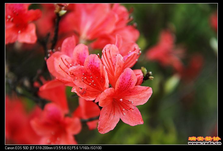 nEO_IMG_IMG_4019.jpg