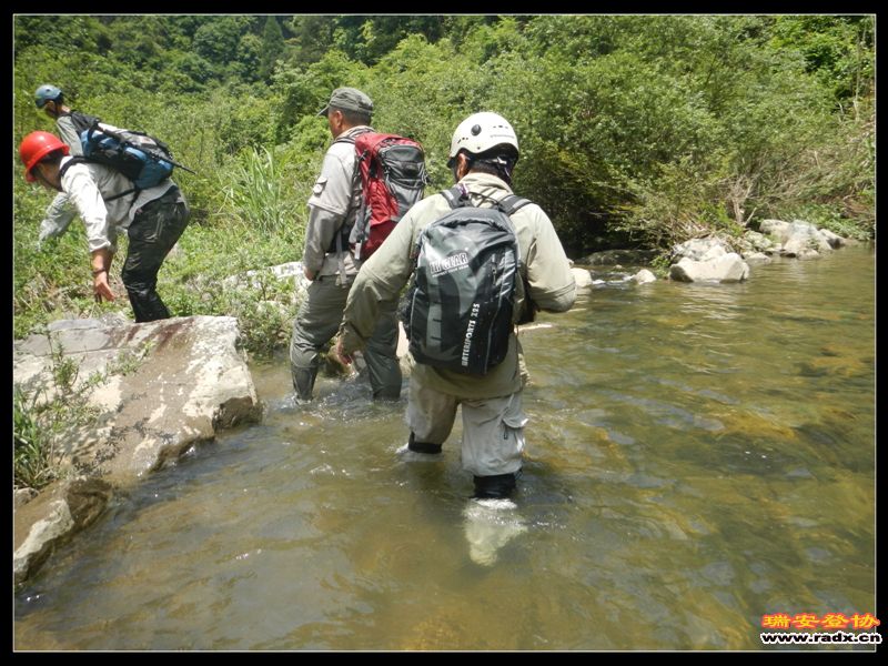 DSCN9134.jpg