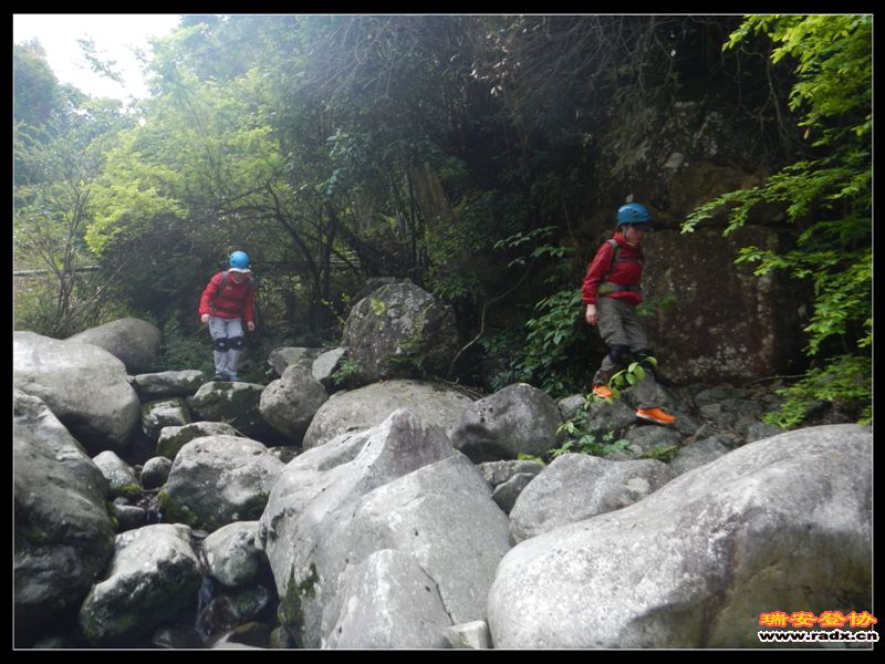 DSCN9137.jpg