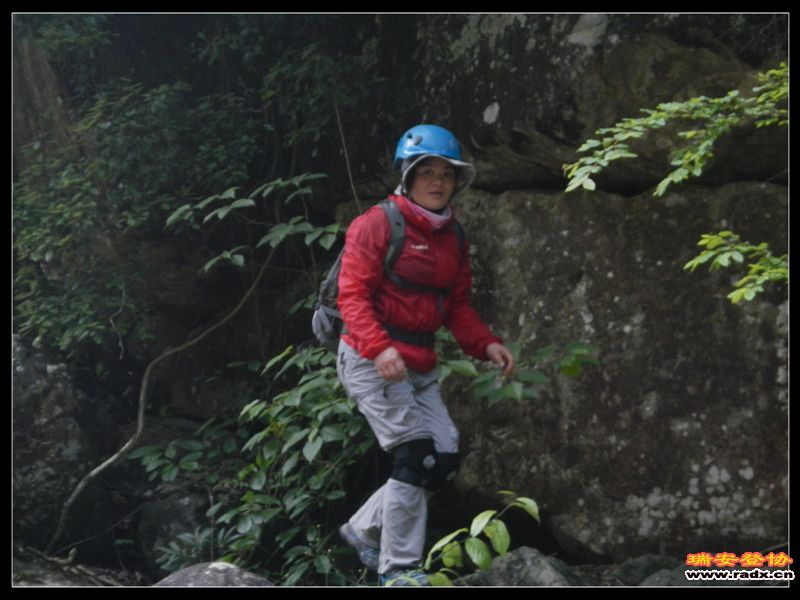DSCN9138.jpg