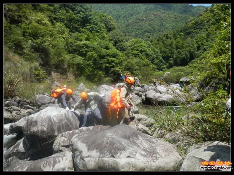 DSCN9168.jpg