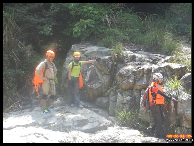 DSCN9178.jpg
