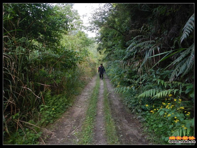 DSCN9299.jpg