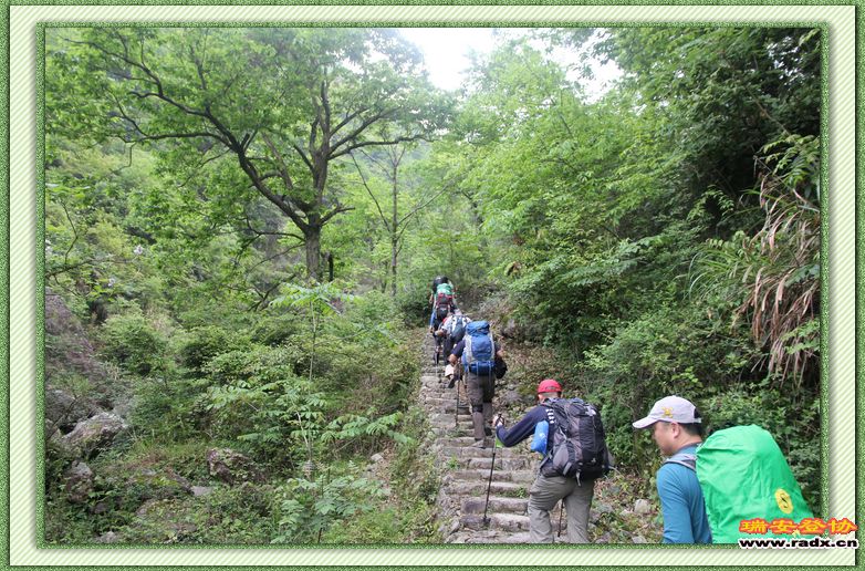 nEO_IMG_上山3.jpg
