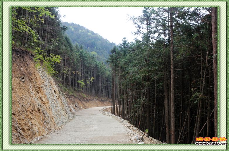 nEO_IMG_上土路2.jpg
