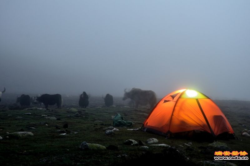 DSC_9355.JPG