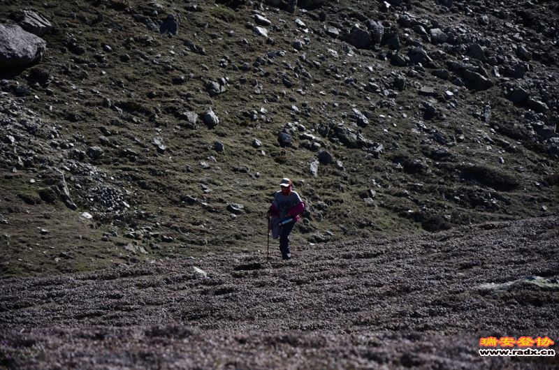 DSC_9411.JPG