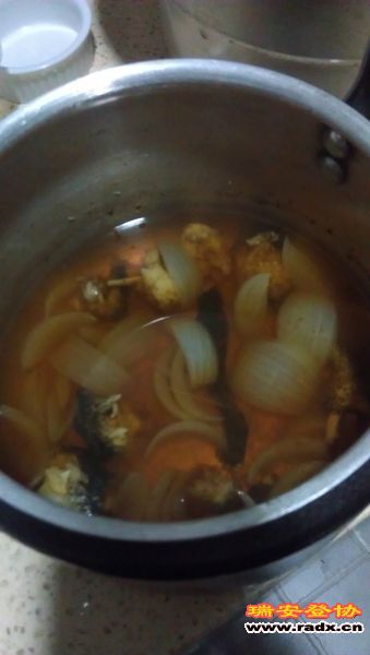 IMAG0356.jpg