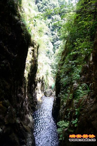 DSC_8613.jpg