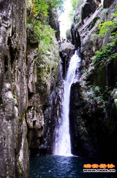 DSC_8784.jpg