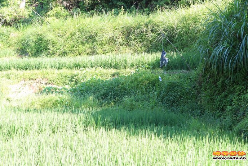 岩门峡谷255.jpg