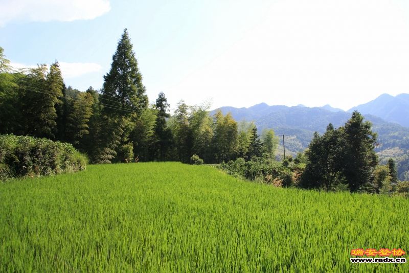 岩门峡谷257.jpg
