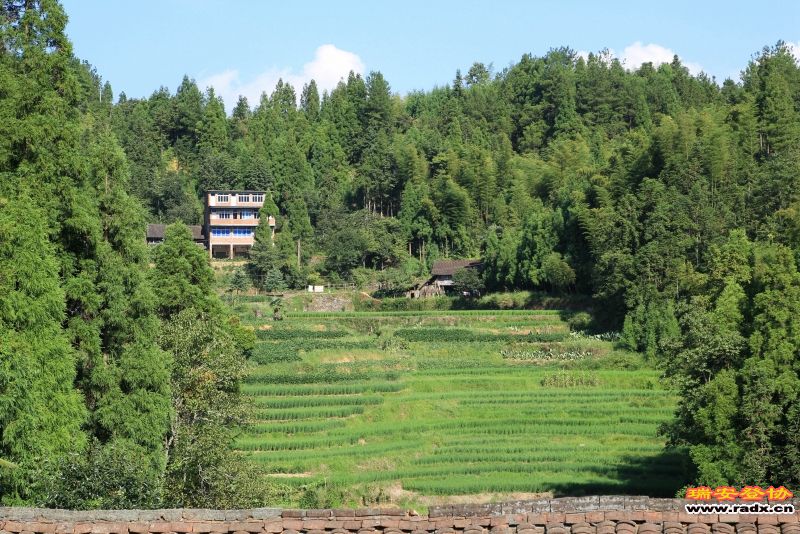 岩门峡谷258.jpg