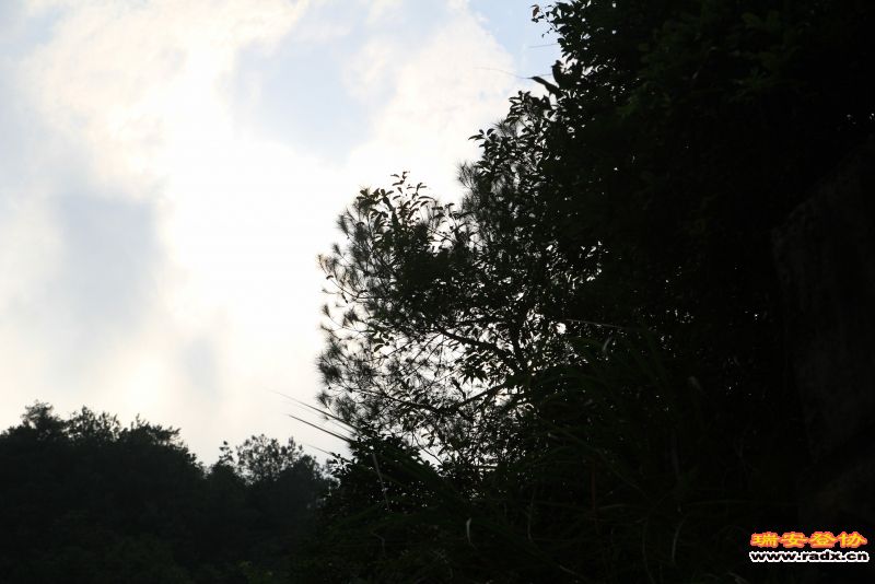 随拍242.jpg