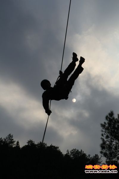 随拍249.jpg