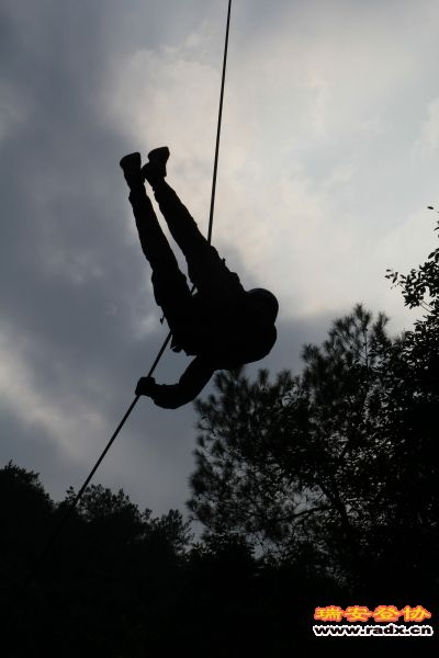 随拍259.jpg