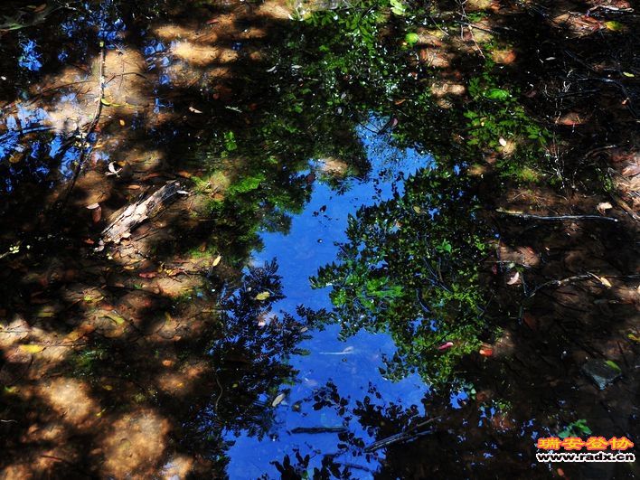 崩密列-水塘很诡异.jpg