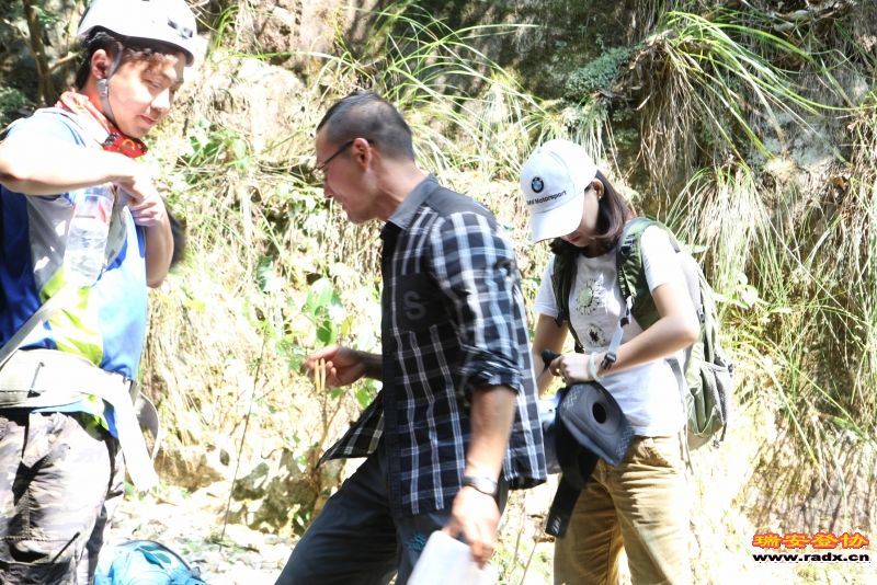奇云山峡谷118.jpg