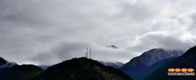 DSC_2644.jpg