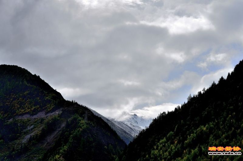 DSC_2653.jpg