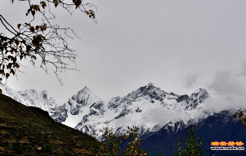 DSC_2713.jpg