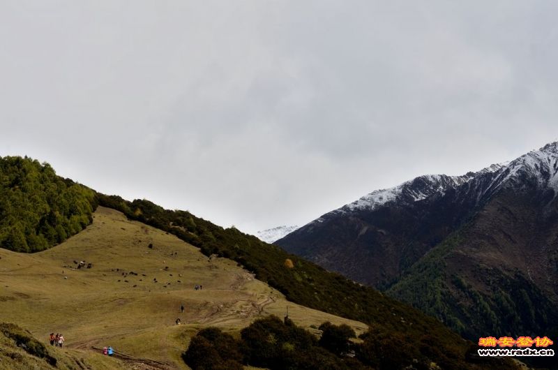 DSC_2847.jpg